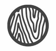 Wohnraum